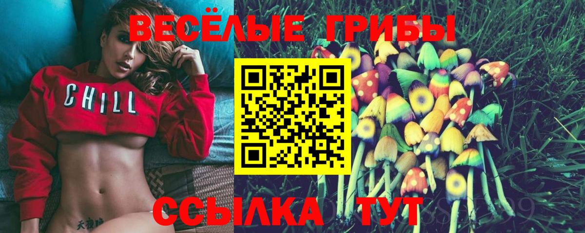Галлюциногенные грибы GOLDEN TEACHER Гулькевичи