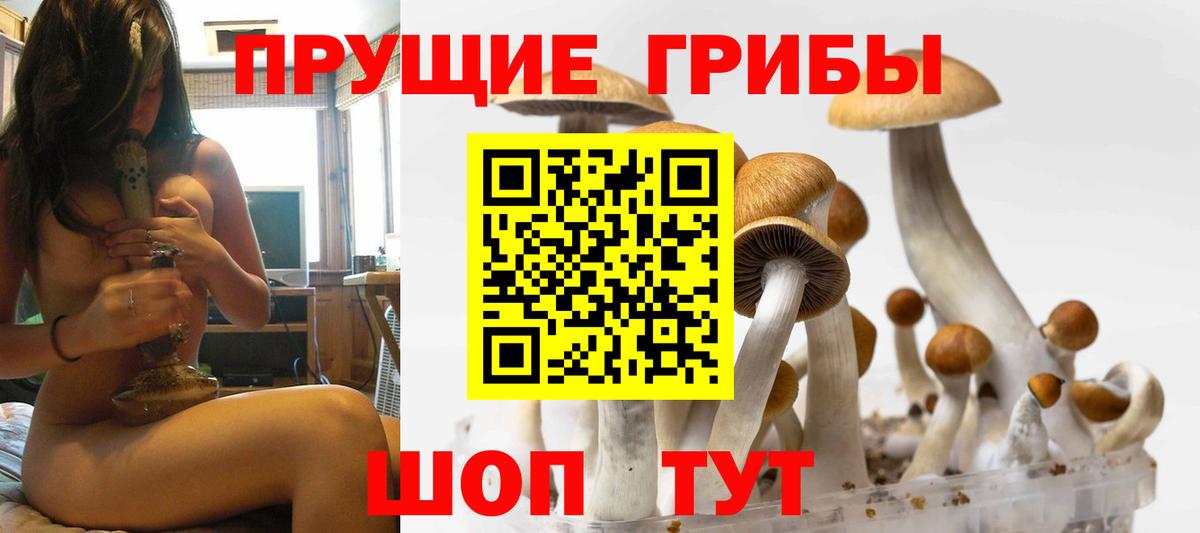 Галлюциногенные грибы Psilocybe  Вход с VPN  Галлюциногенные грибы GOLDEN TEACHER  Гулькевичи 